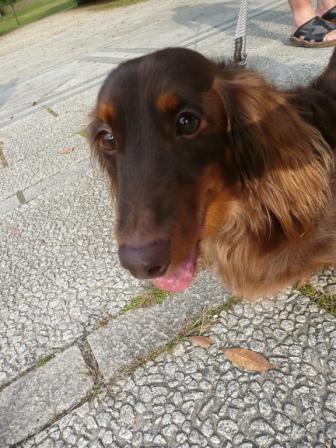 10月04日　　見沼自然公園　　　 (35).JPG