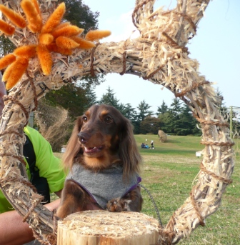 10月31日　昭和記念公園 (47).JPG