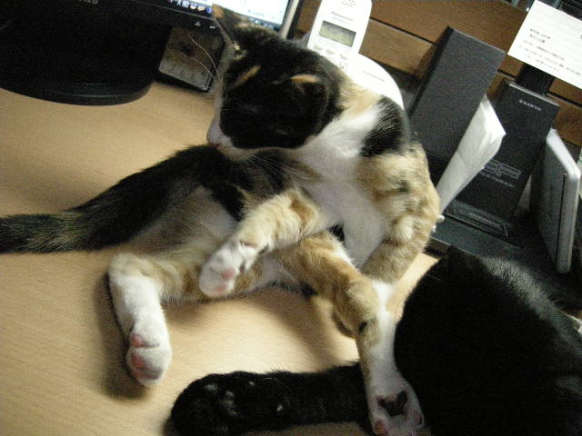 おしりだって痒いのよっ！