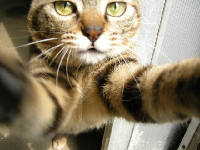 ちょっとちょっと　byきくちゃん