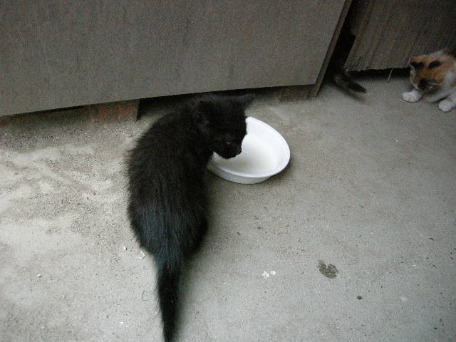 もう時間ですか？ってお先いただいてます