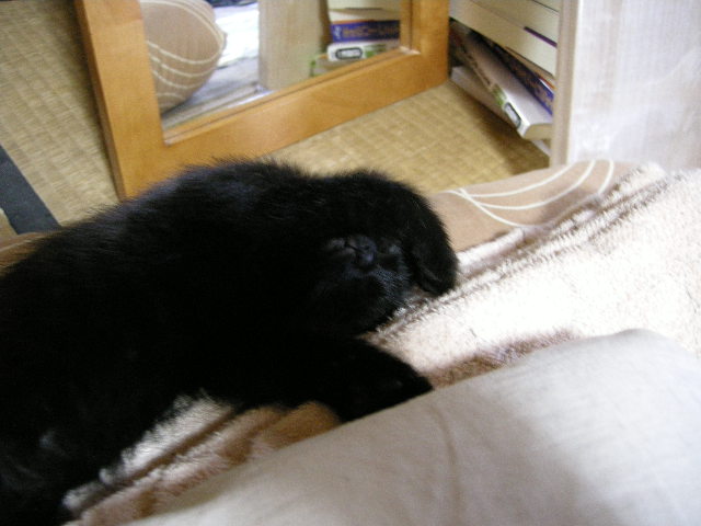 寝る子は育つ　TAN2