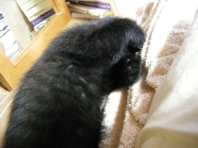 撮らないで！TAN