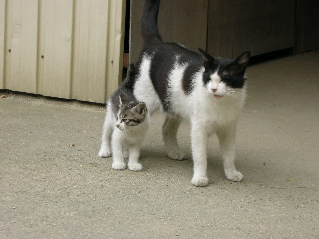 さぁ、ごはんにいくよ～