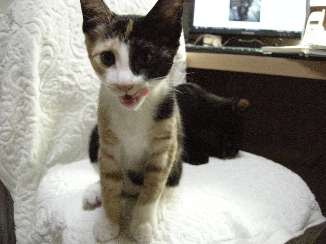 満足　満足（＾＾）