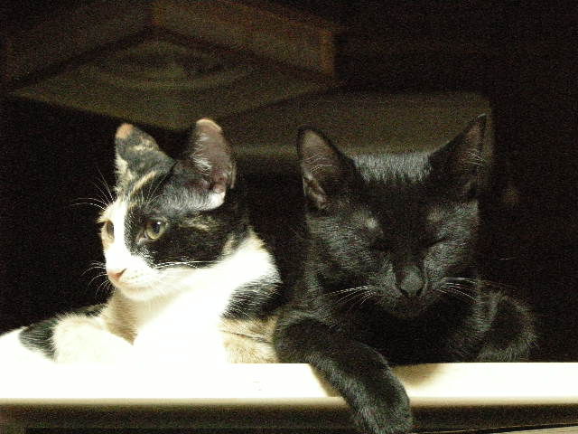 ツーショット（＾＾）