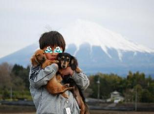 ３わんと富士山