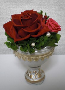 エレガントな赤いバラ