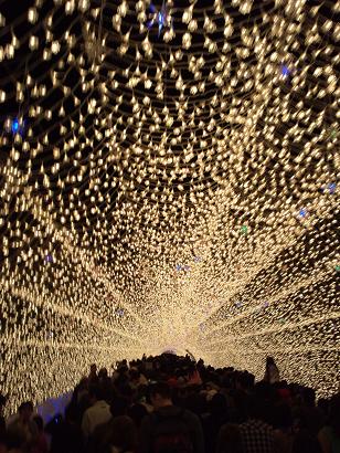 なばなの里イルミネーション1