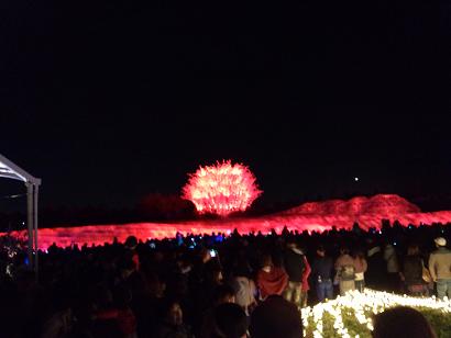 なばなの里イルミネーション2