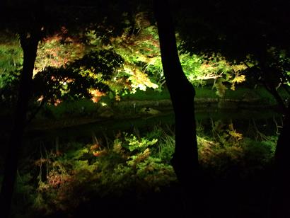 なばなの里イルミネーション3