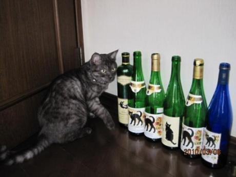 猫ラベルのワイン