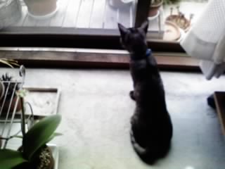 2009-11-16 17:34:47