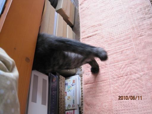 IMG_3385m.JPG