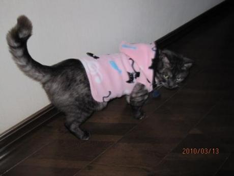 ピンク服で興奮