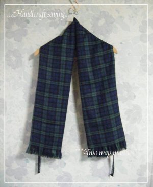 Dscf2wayストール5 0026.jpg