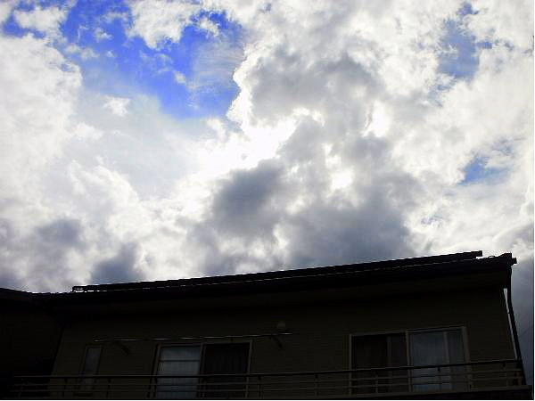 20100627_薄日の午後.JPG