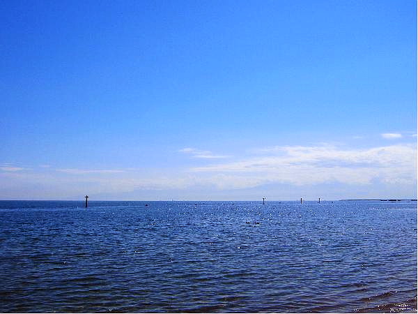 20100806_ギラギラと夏の海辺.JPG