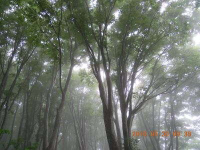 DSCN0346_400.jpg