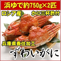 2011年のカニ