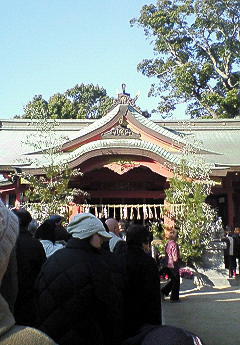 NEC_0166.JPG
