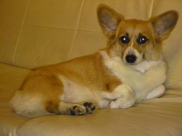 そらはここがええねん