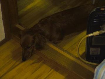 なお、ちょうどええねん