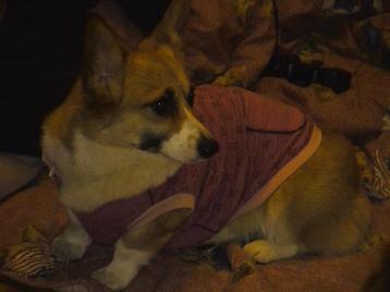 そら、よんだ？