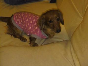 なおはきまっているね