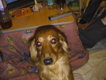 なお、もっとうつしてよ