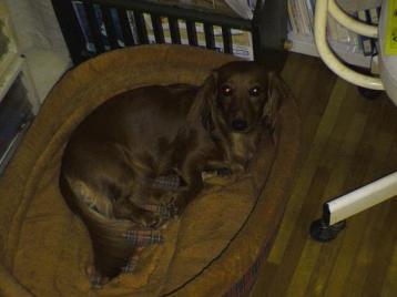 なお、あったかいのよ