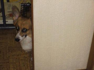 そらはみてるよ