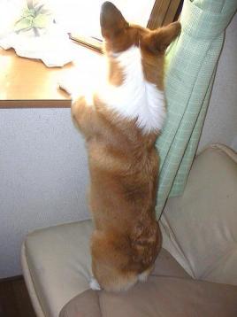 そら、外がうるさいなぁ