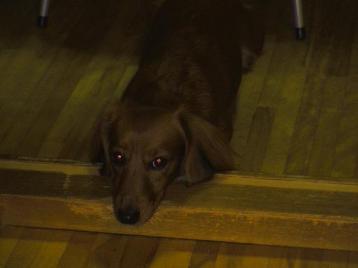 なおすねんねん