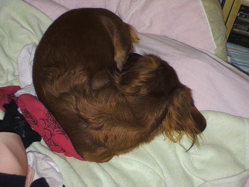 なお、まんまる