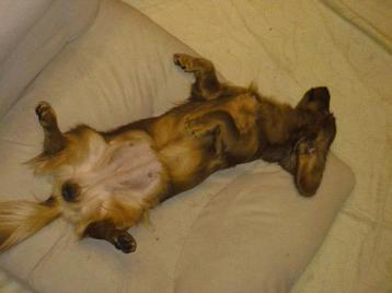 なお、こんがり