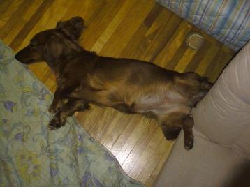 なお、こんがり２