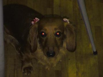 なお、ぶりぶり