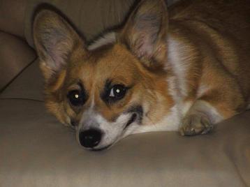 そら外に行こうよ