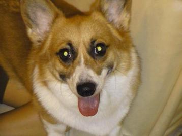 そら、げんき！