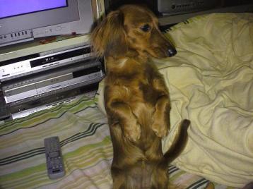 なお、立っちゃダメだよ