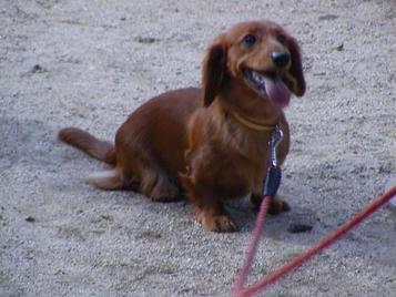 なお「早く走ろうよ」