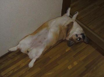 そら、えんやとっと