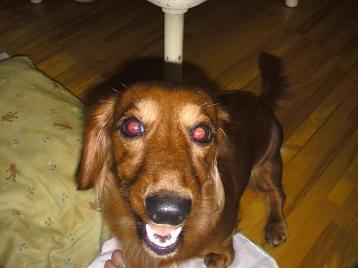 なおないかおくれよ～