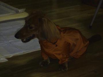 なおのカッパもにあう？