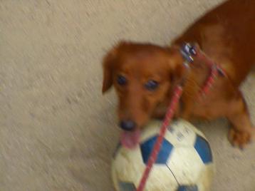 そらドリブル５