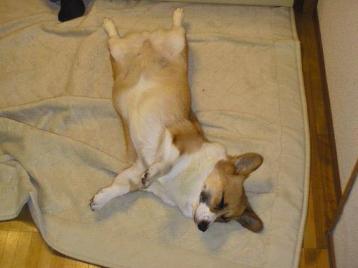 そら、ええかんじ