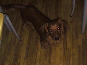 なお、ちょーだい