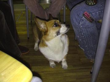 そらもそらも・・・