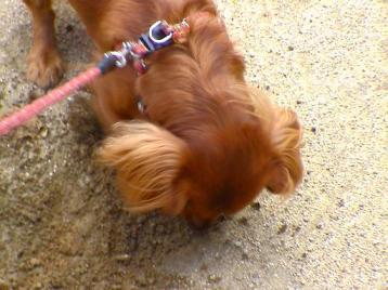 なお、とにかく掘るねん